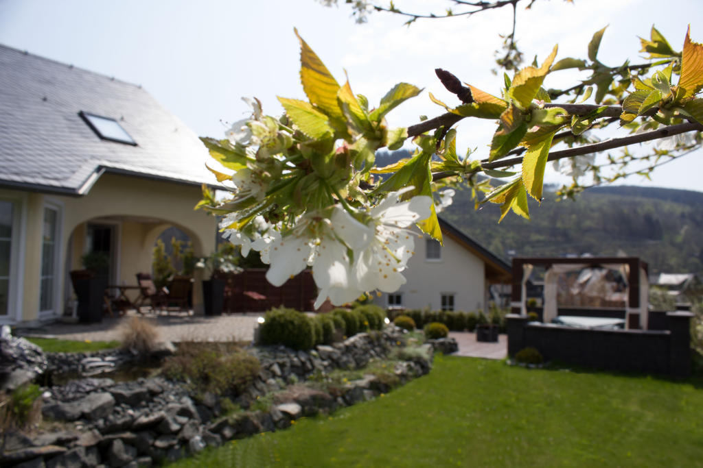 Ferienwohnung Emde Willingen  Exterior photo